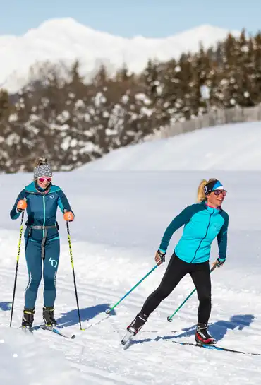 50852432178_b07e8ea56b_6k